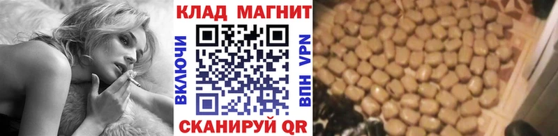  COCAIN Владикавказ