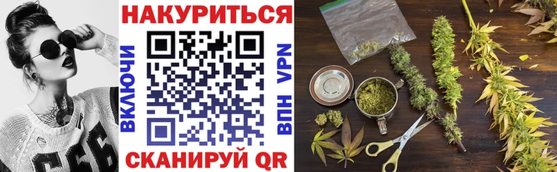 Конопля гибрид  Купить закладки  Владикавказ 